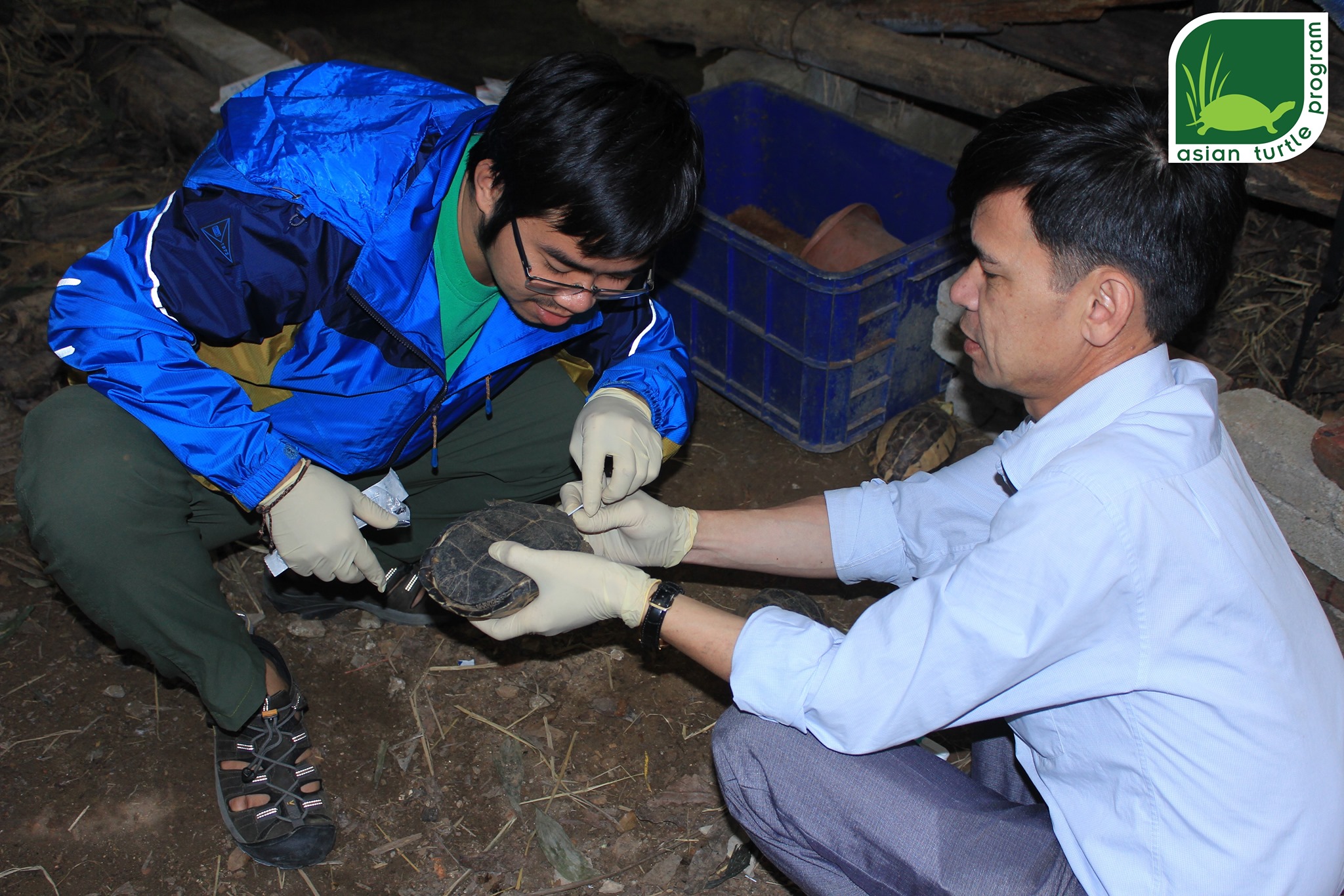 The importance of health screening... - Asian Turtle Program