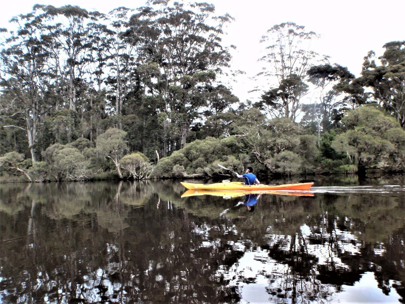 Denmark Riverside Kayak Club | Denmark WA