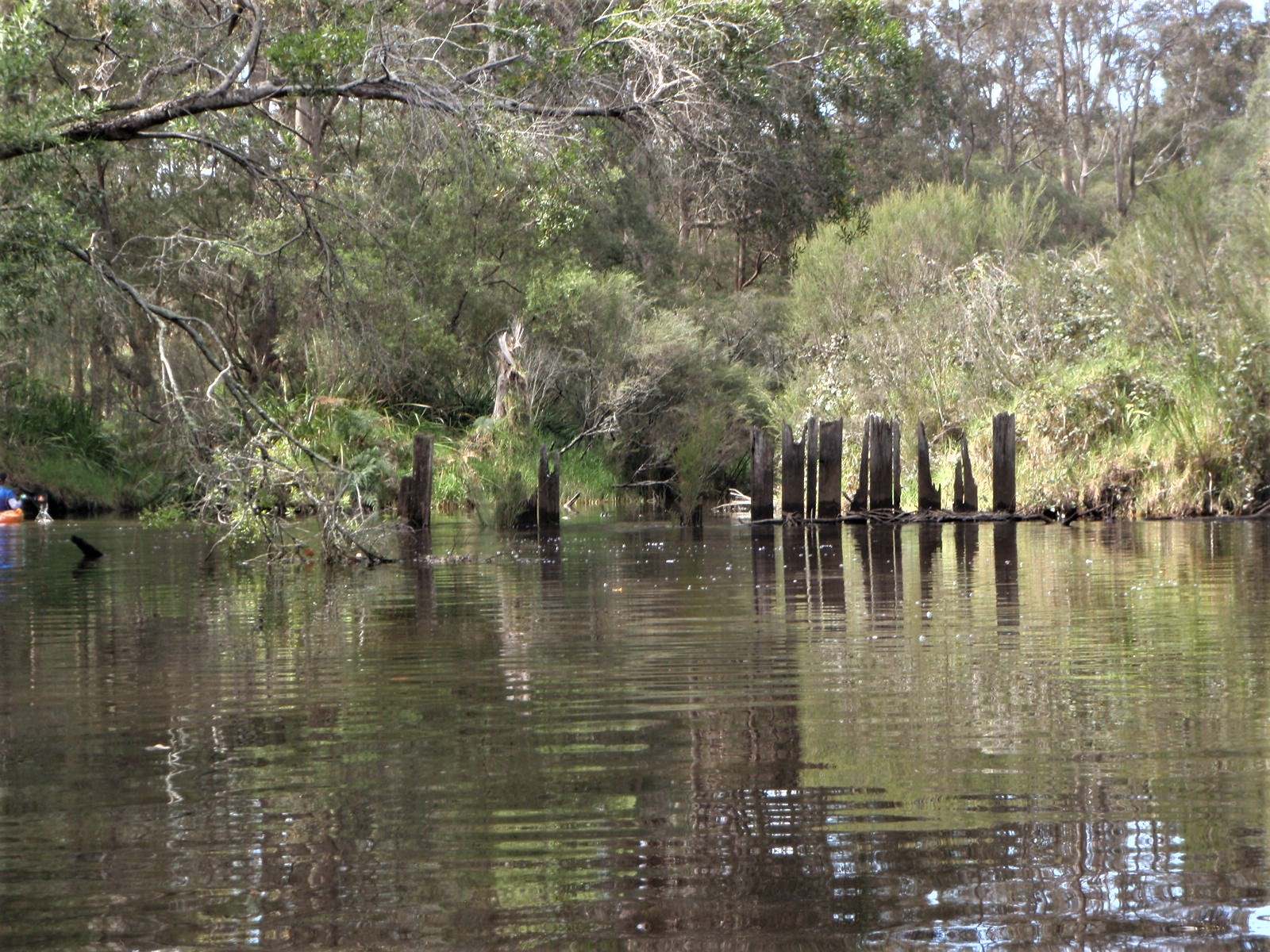 Denmark Riverside Kayak Club | Denmark WA