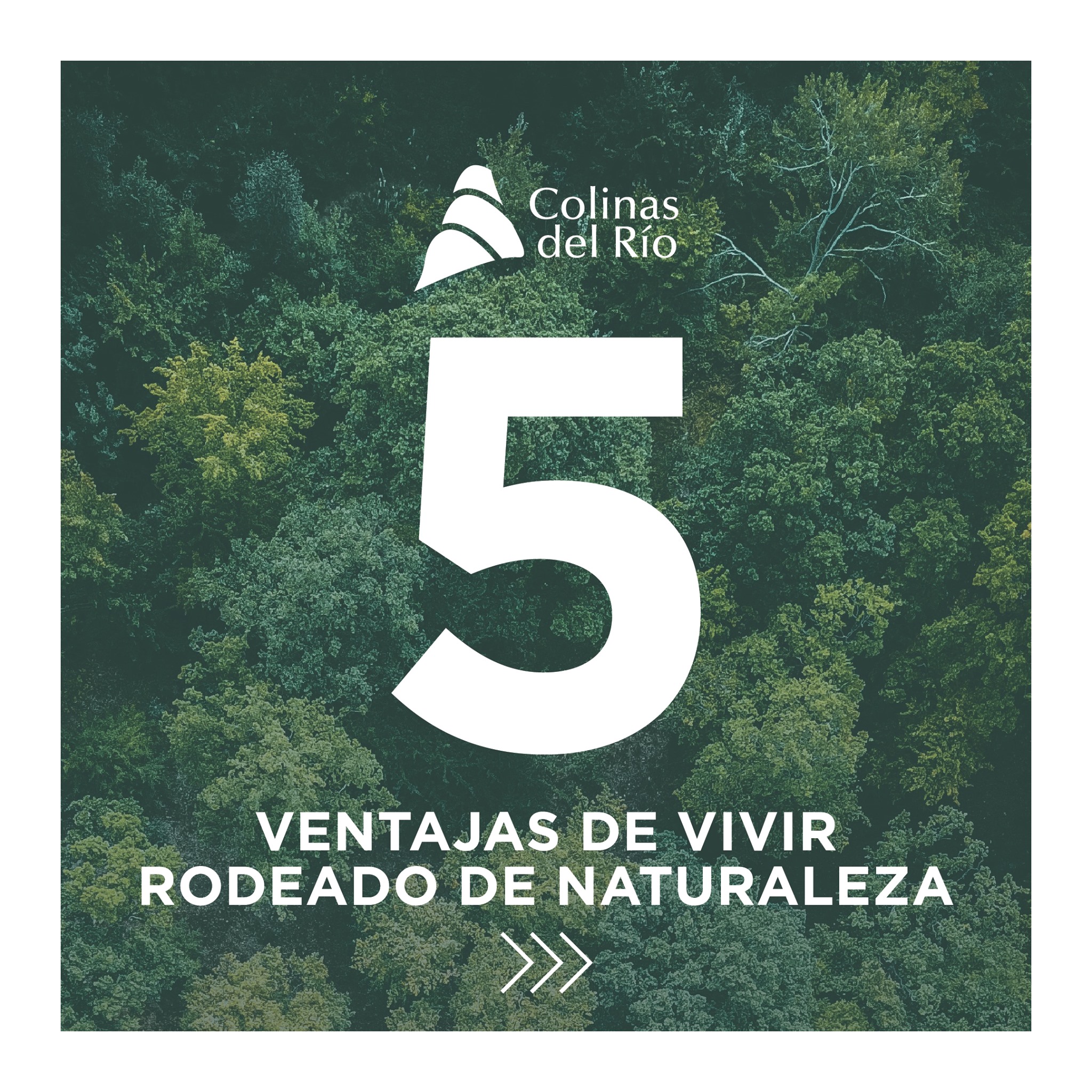 Colinas del Río - El contacto con la naturaleza o espacios... | Facebook