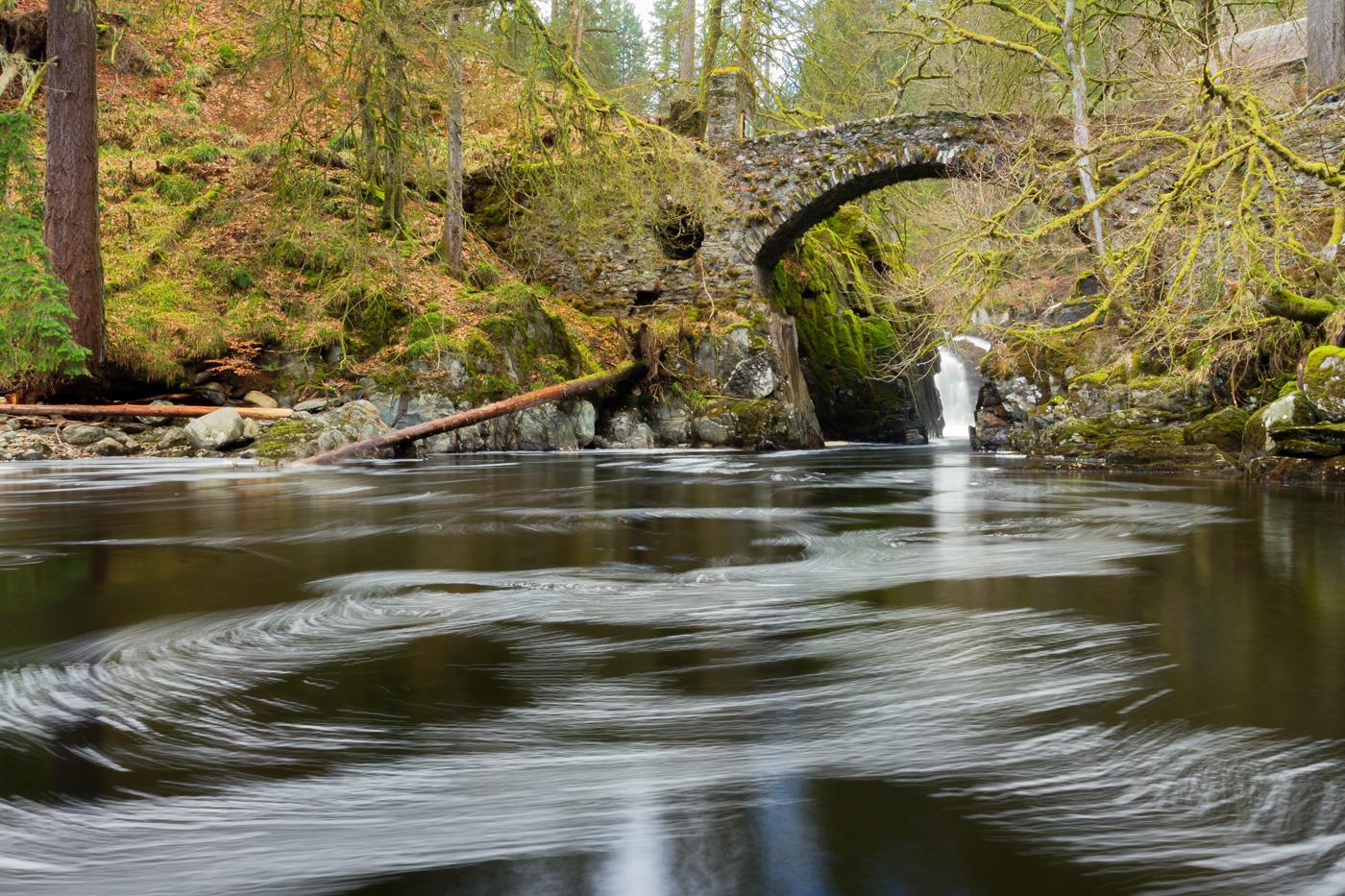Gavin Ritchie Photography