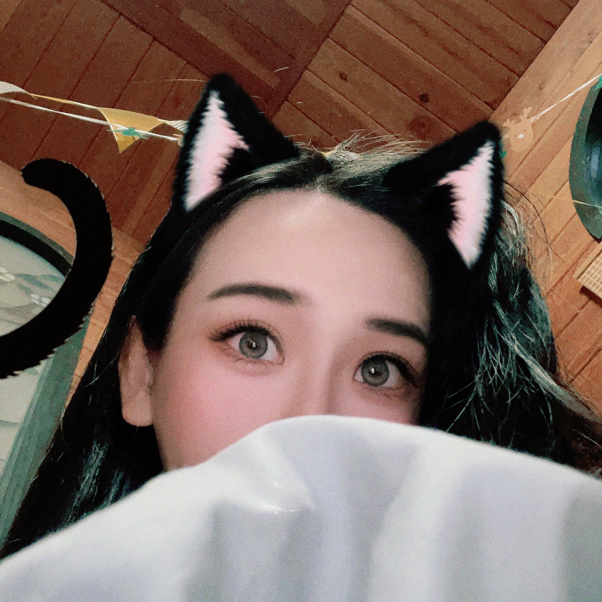 Jia Rong Li