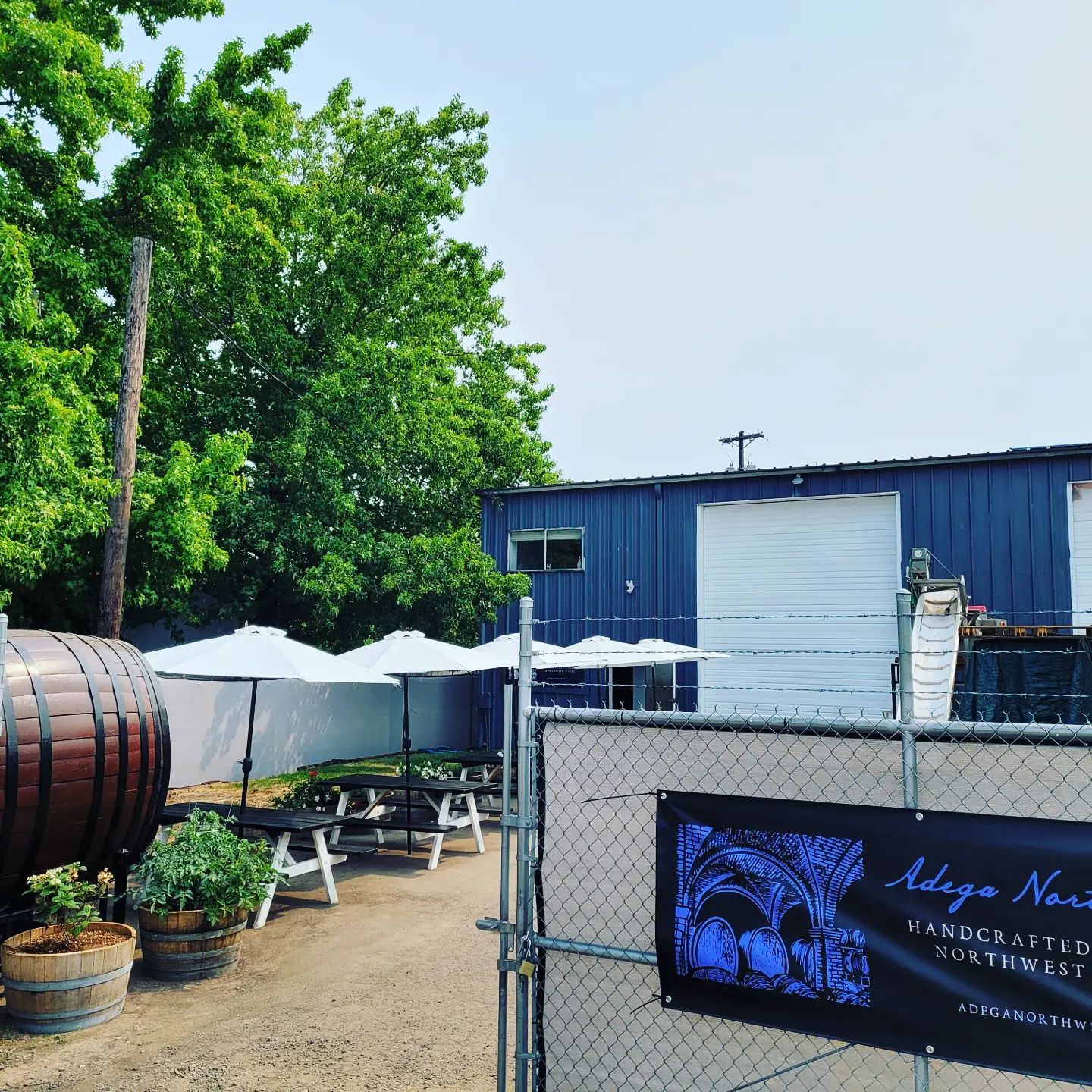 Script Cellars