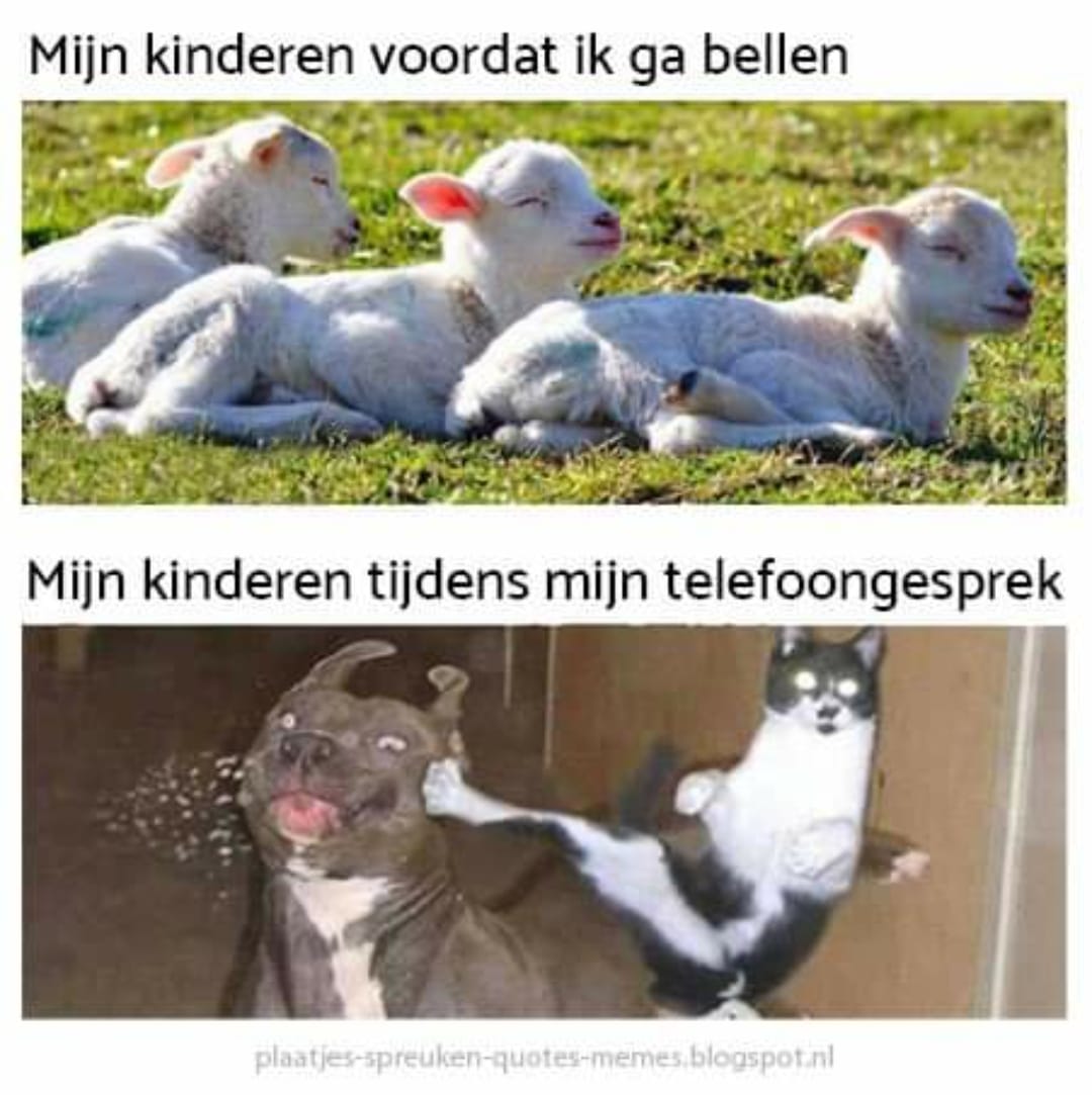 🤣 Meer... - Grappige plaatjes, leuke memes en wijze spreuken | Facebook