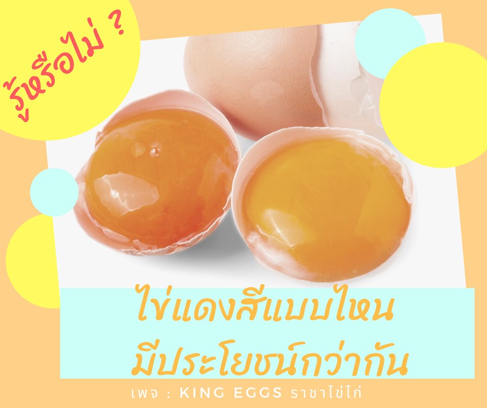 ในชีวิตของคนเรา... - คิงส์ เอ้กส์ - ราชาไข่ไก่ - King Eggs | Facebook
