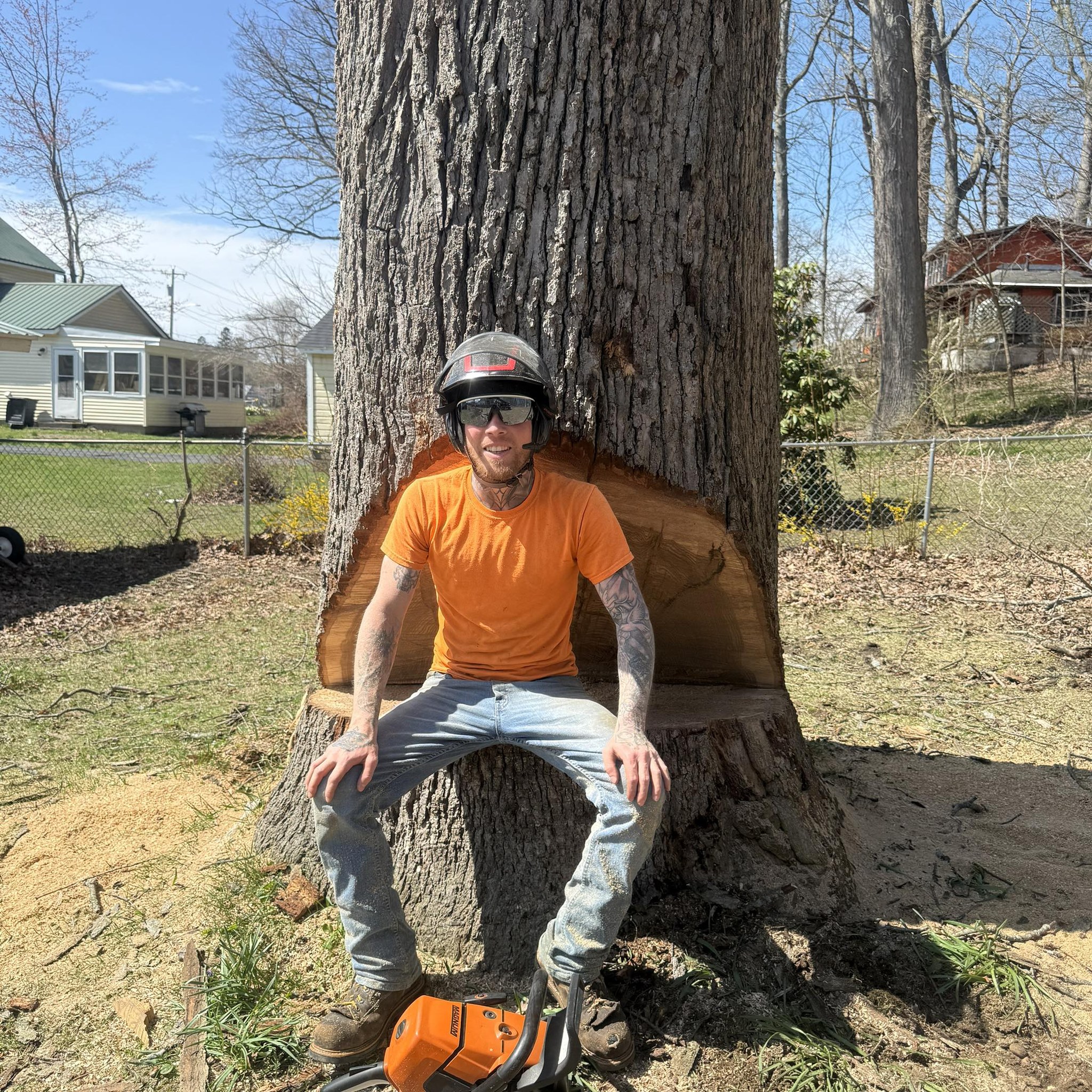#treeservice #treeclimber #treelife #chainsaw #arborist #treeremoval # ...