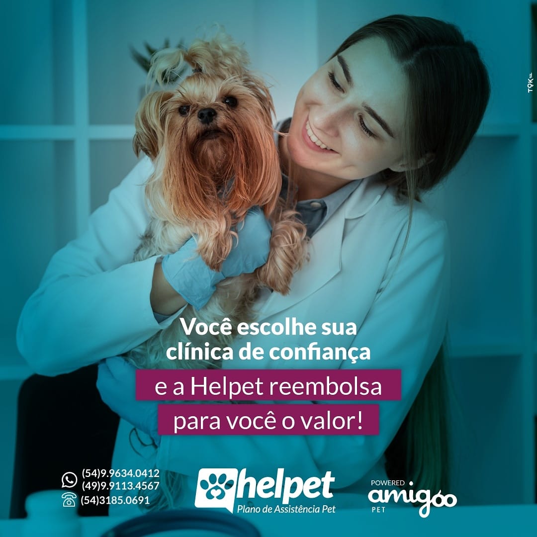 Você não precisa abrir... - Helpet -Plano de Assitência PET | Facebook