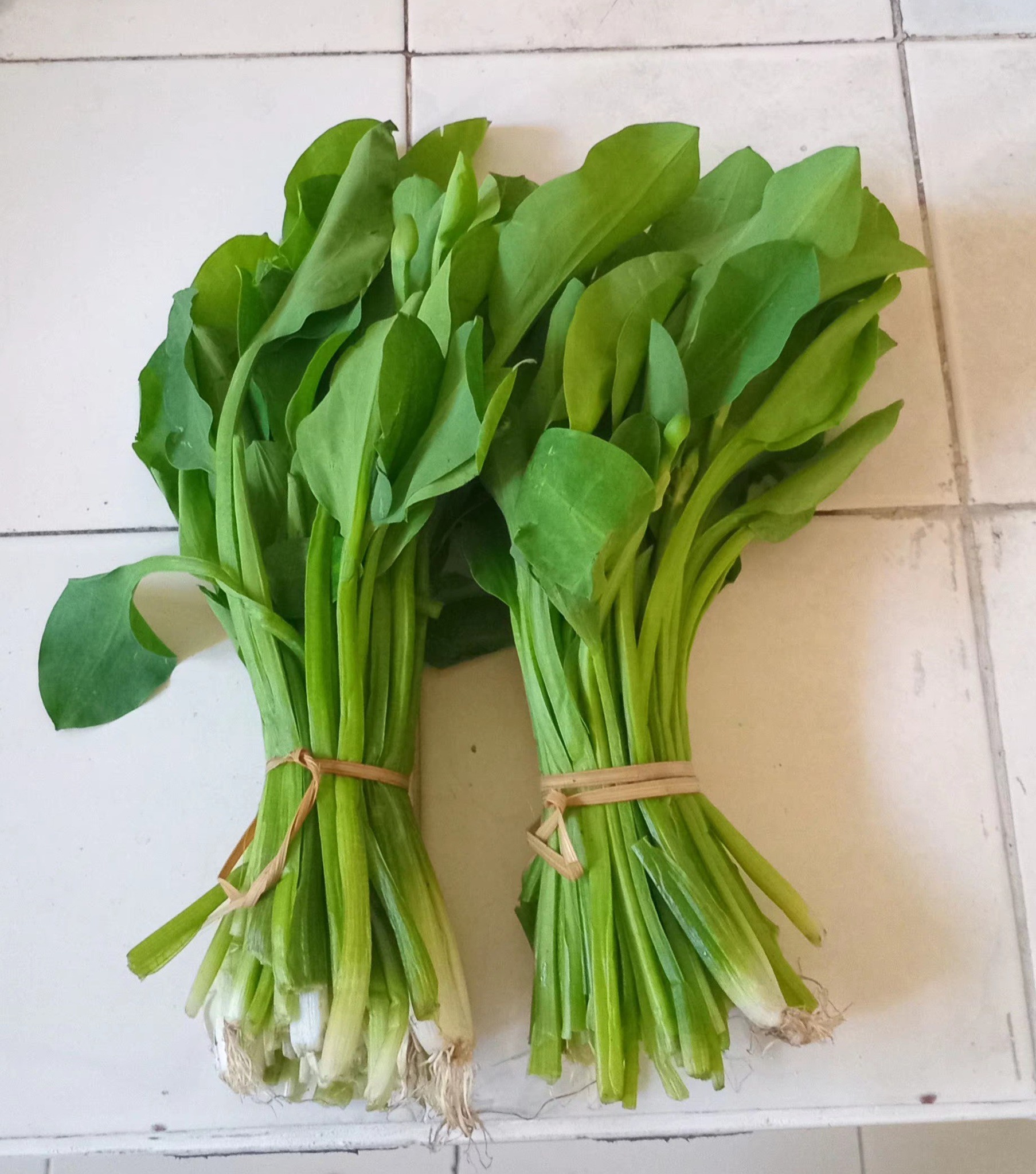 Aan Sri Hayeni - Gendot alias Genjer, apa nama sayur ini... | Facebook