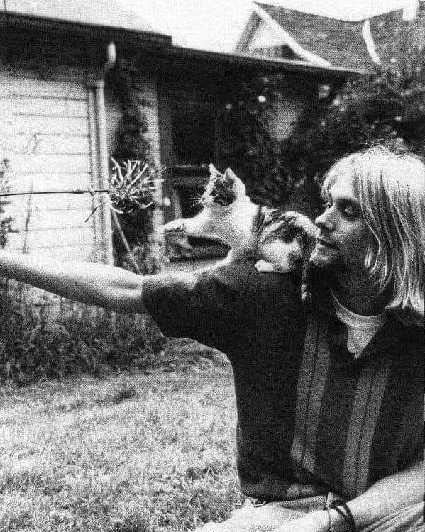 Dato curioso de Rock: Kurt Cobain... - Las Historias del Rock