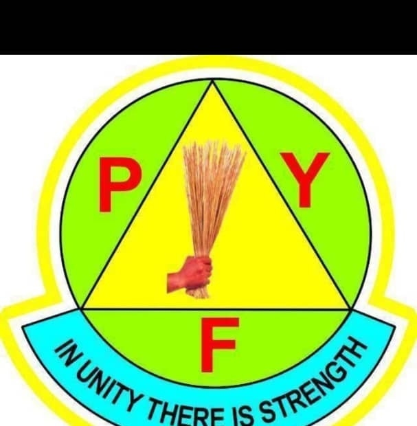 Progressive Youth Foundation - PYF