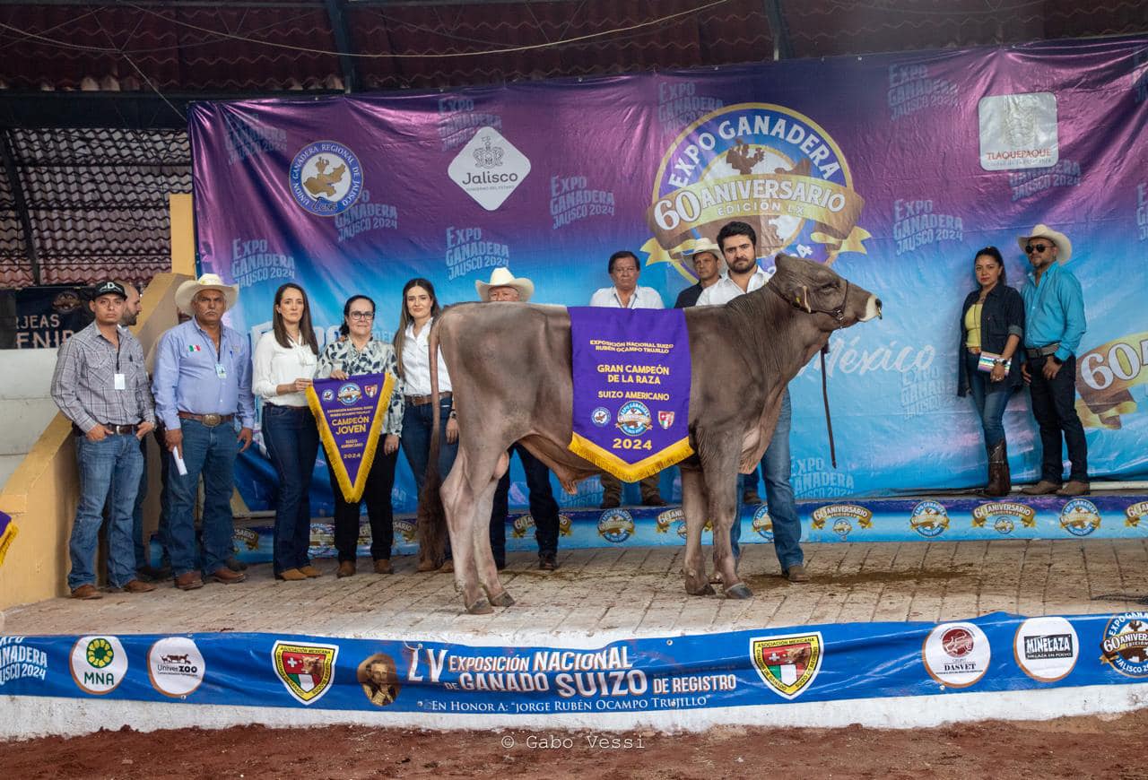Barroso Suizo Americano Hostein