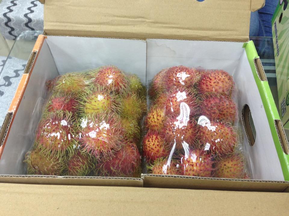 Vietnam Fresh Fruit & Vegetable Exporter | Ho Chi Minh City
