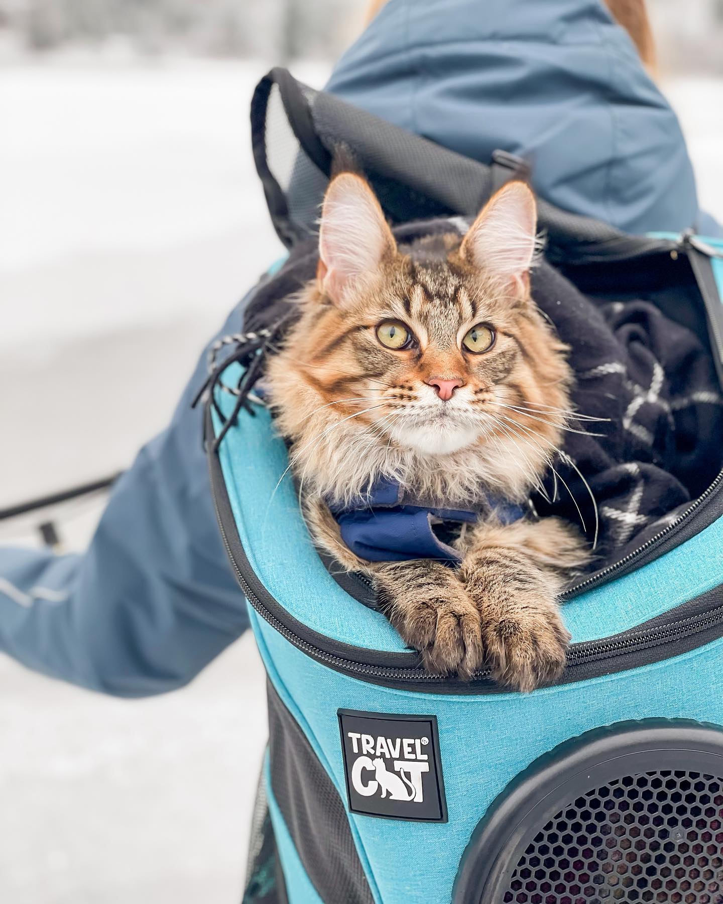 15 laptop sling backpack Cool Pack with in Sleeve, Dark Slate by Tote Bag Factory Sky Caster This sling pack has Option:70M SPN - 7' Medium Spinning Ultralight Rod Okuma Celilo