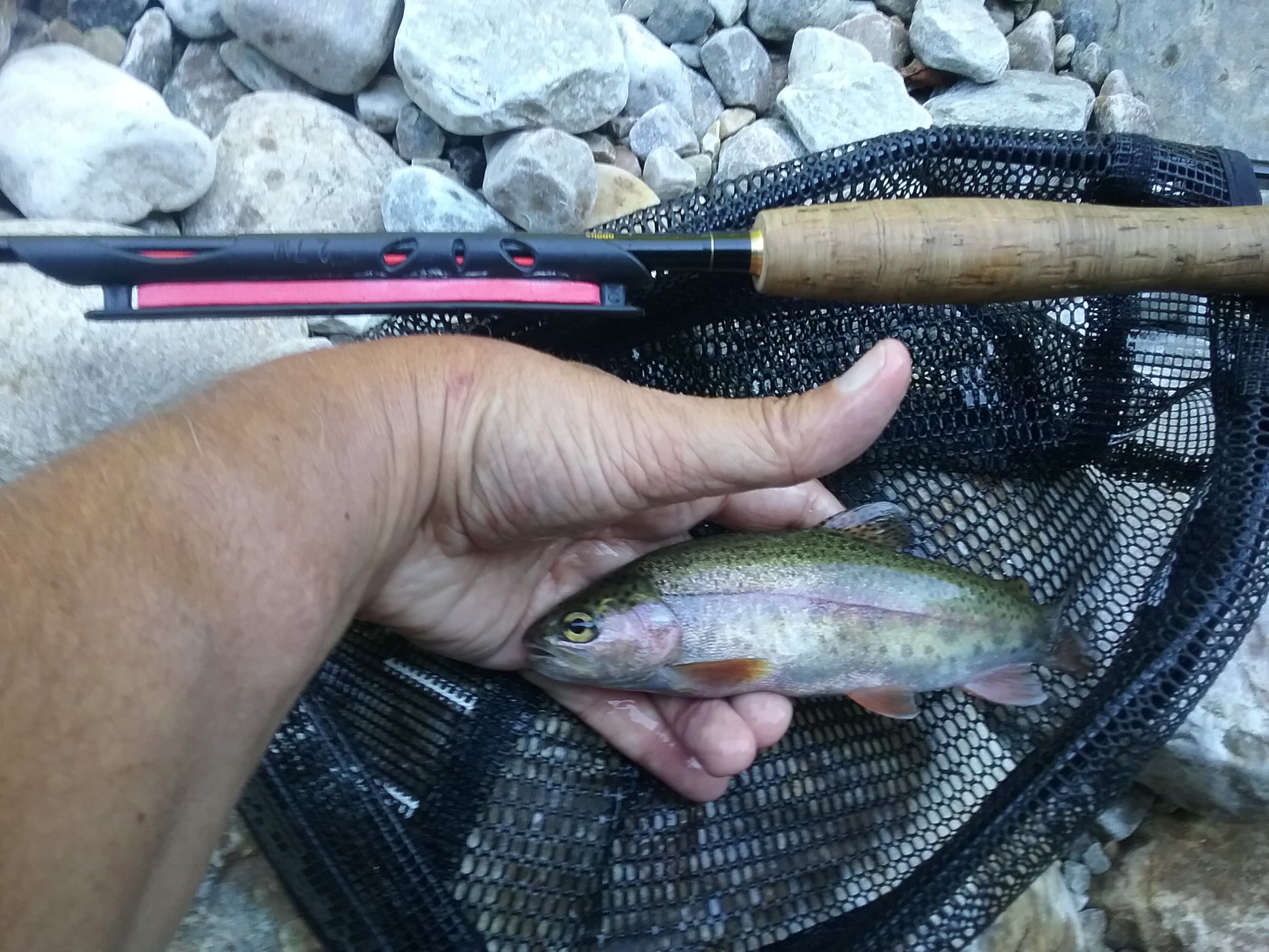buy fishing pole burlington vt Temple Fork Outfitters Push Kit the reel that taught America to fish makes it easy Fishing in Mount Tabor, Vermont's