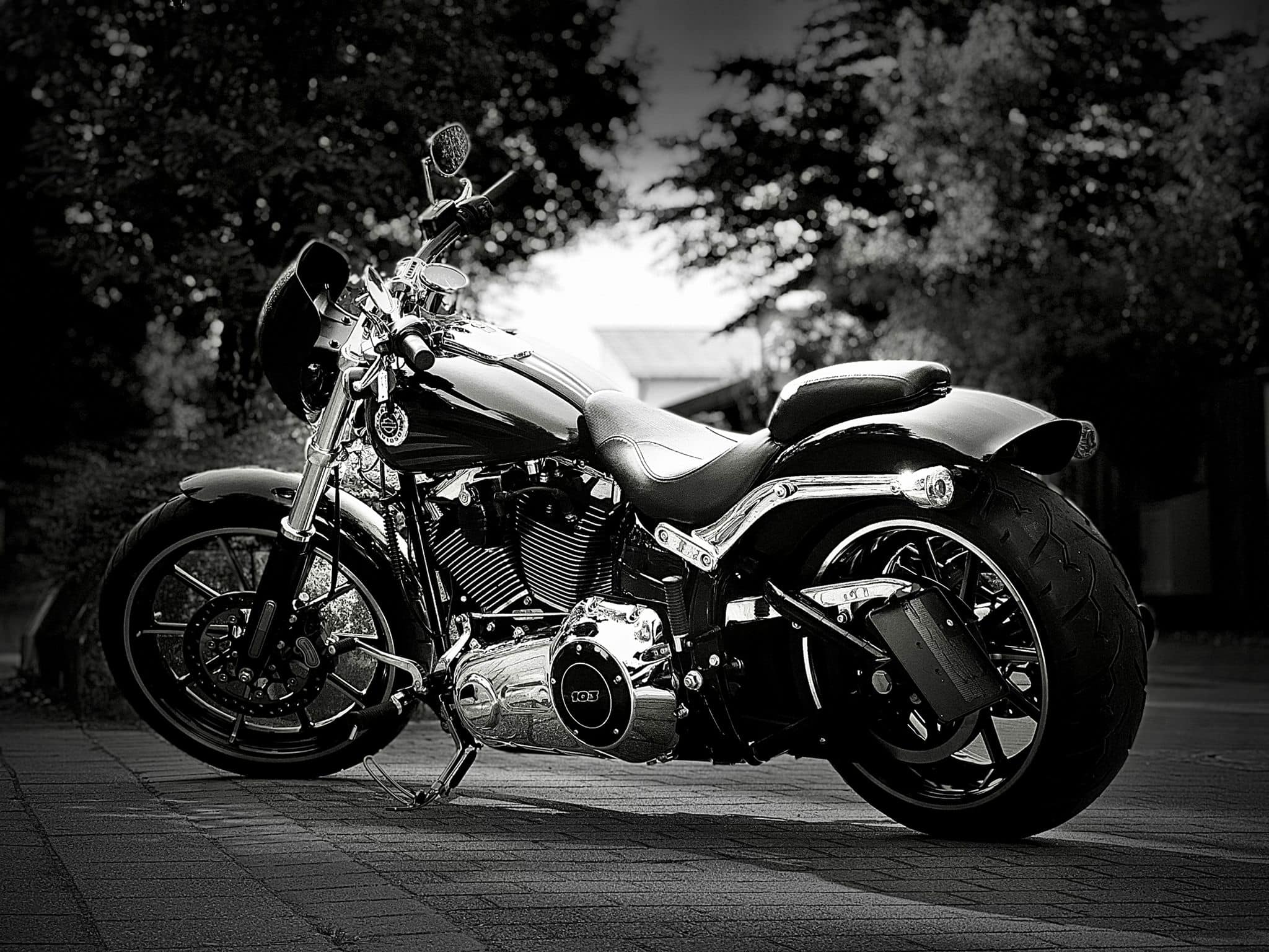 Avon Cobra Chrome tires for 2017 Harley-Davidson FXSB