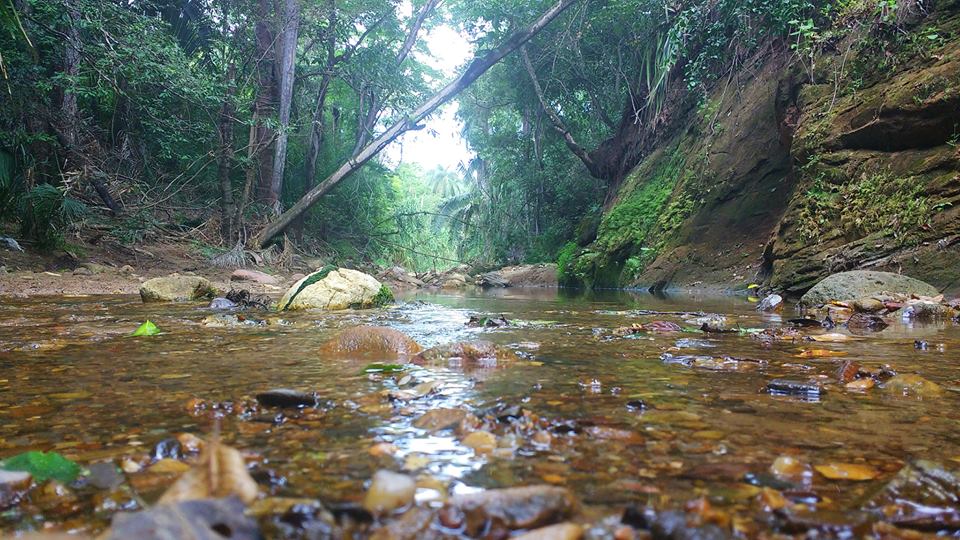 Parque Estadual Sítio Fundão / Geossítio Batateiras | Crato CE