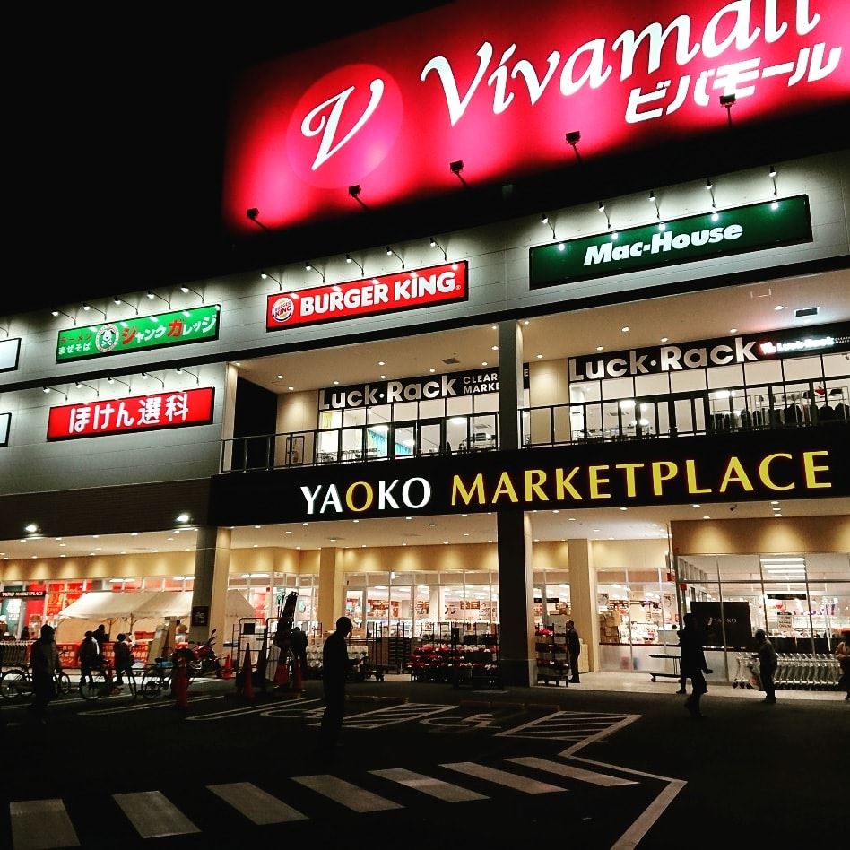 活動歴および当時の関連ビジュアル記録