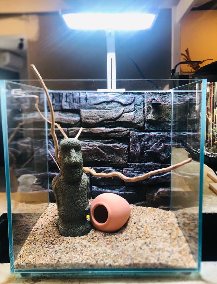 Aztec Aquarium - New @ Aztec Aquarium! We have another... | Facebook