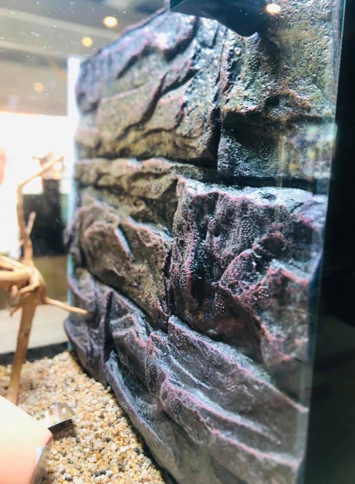 Aztec Aquarium - New @ Aztec Aquarium! We have another... | Facebook