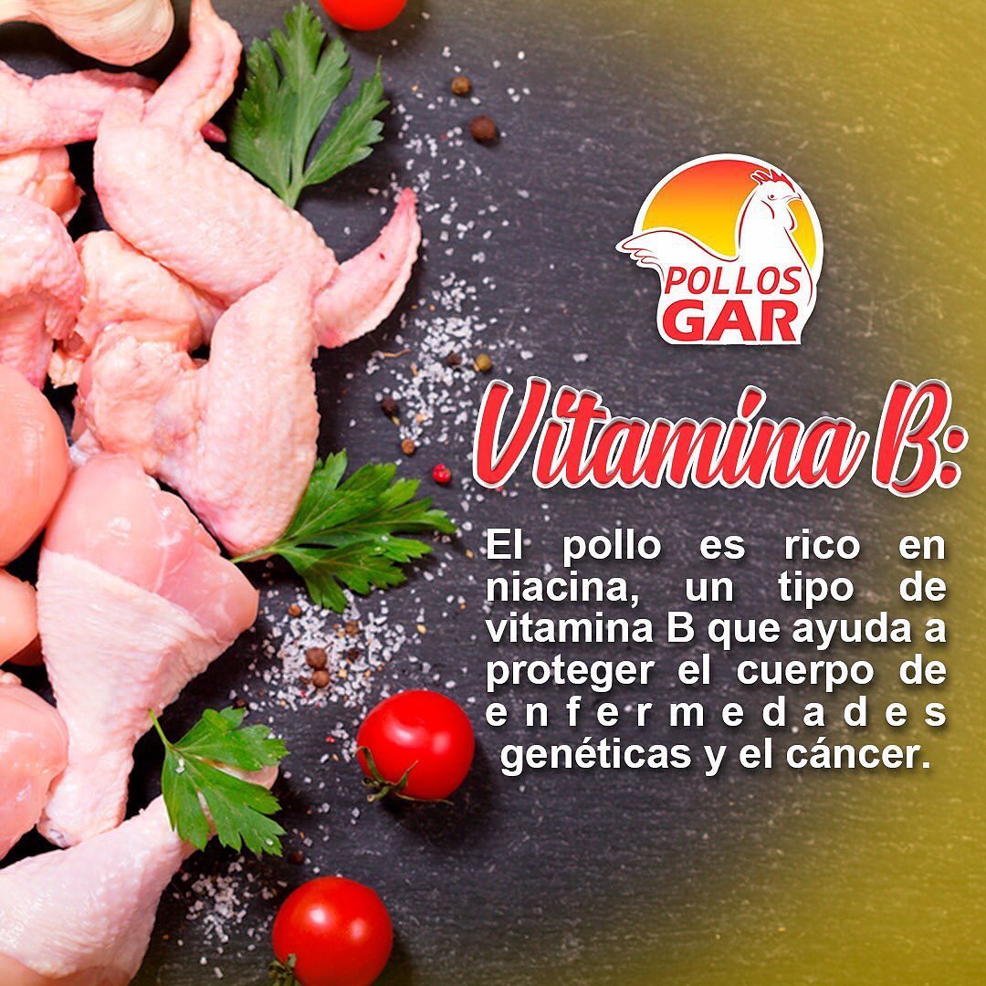 Pollos Gar. - El pollo es un excelente alimento para... | Facebook