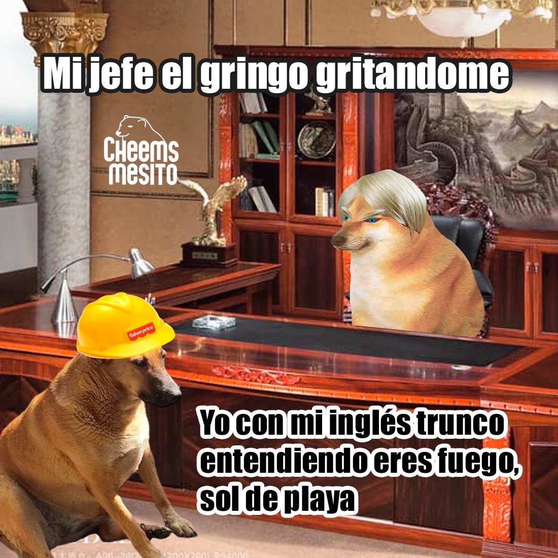 Cheemsmesito - ⛑🐕 