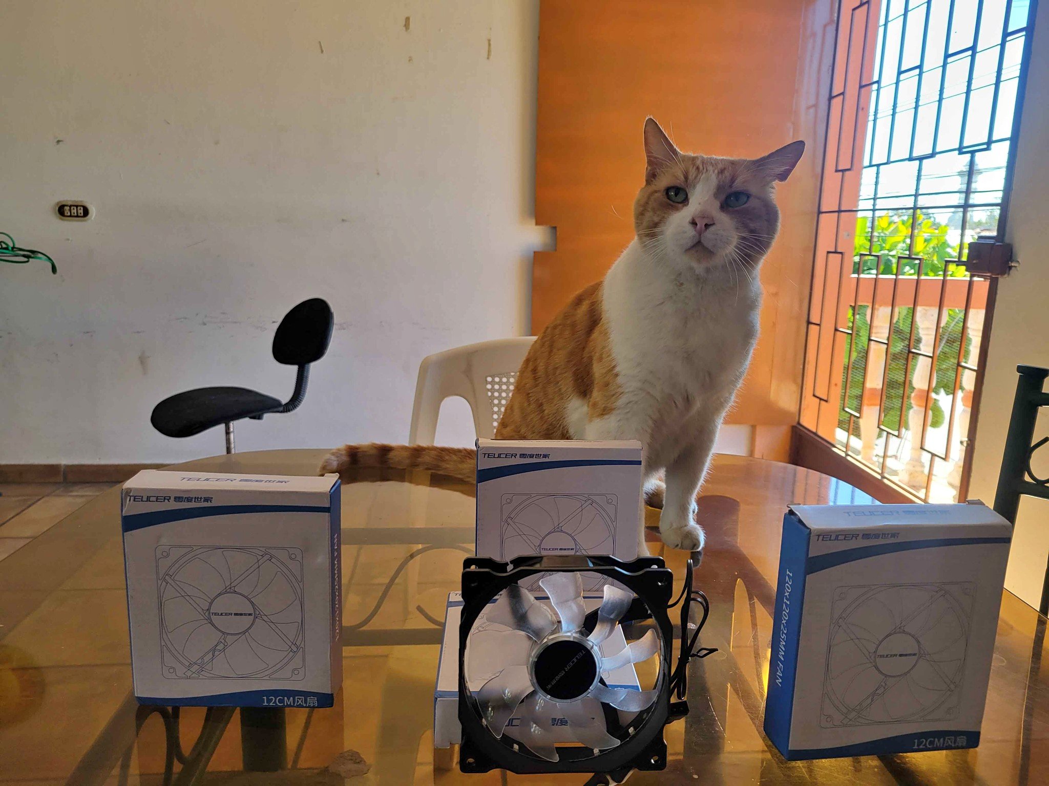 Mi gato esta vendiendo un pack de 4 ventiladores - Fans - San Vicente ...