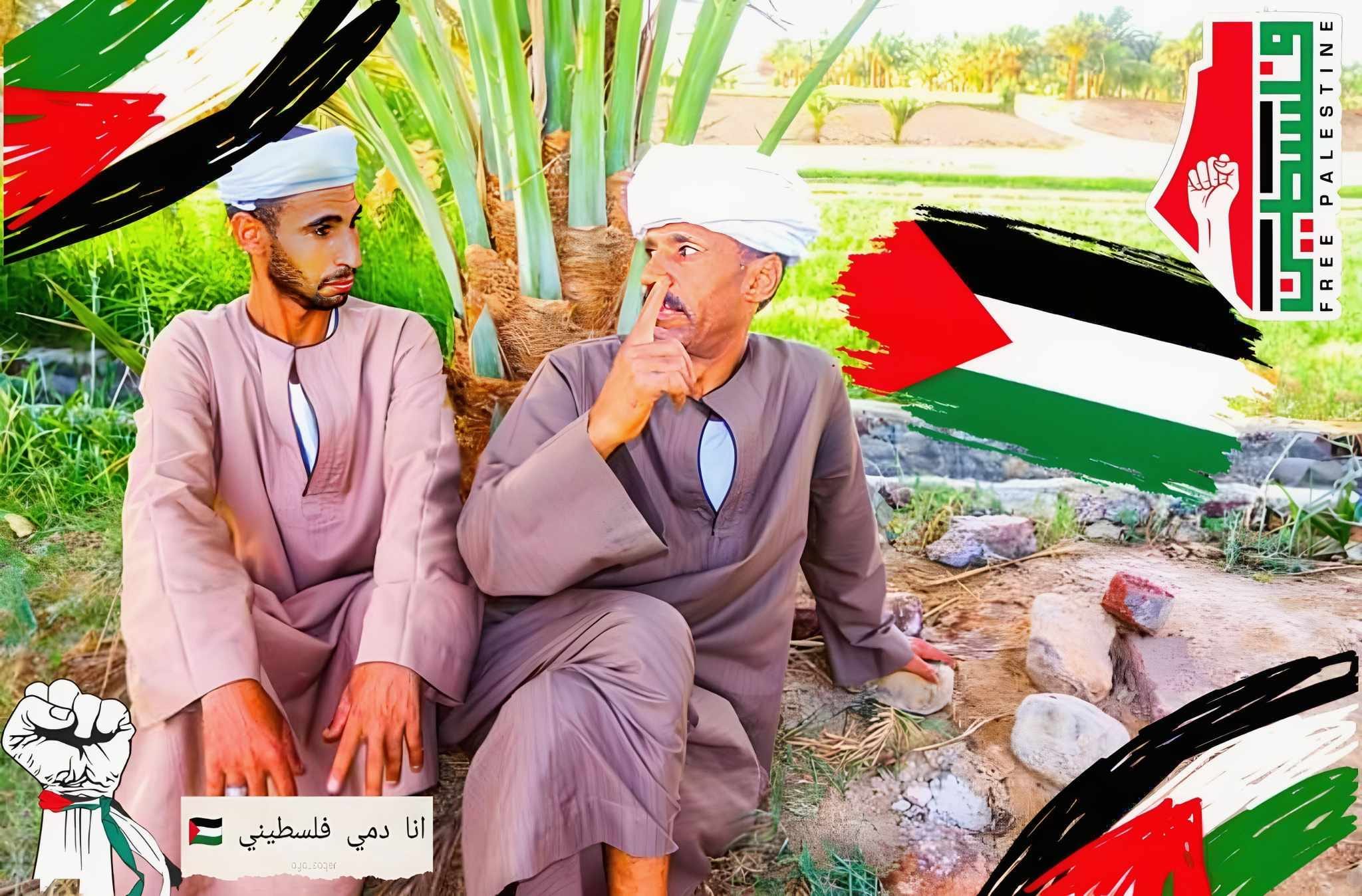 أحمد عبد الحميد -اخمد ابو اسلام