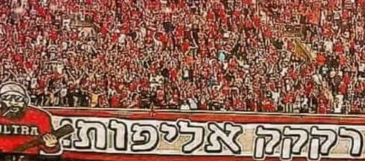מאיר ברד