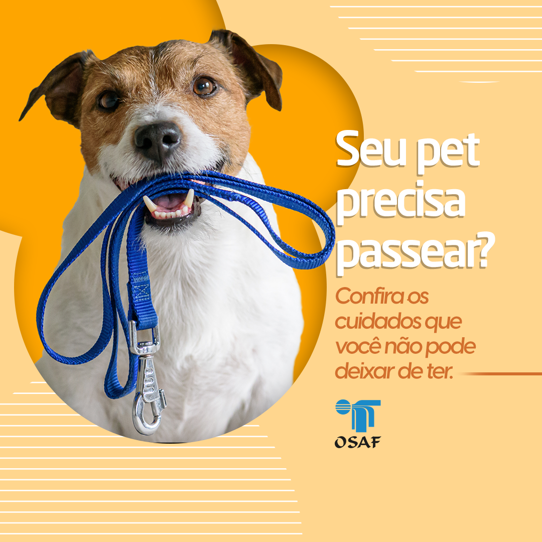 OSAF - Tem pet em casa e vai precisar passear com ele?... | Facebook