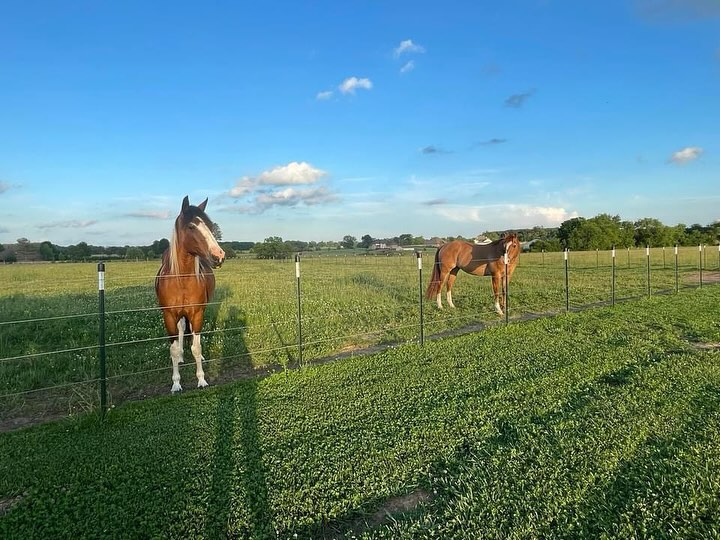 Stables at The Ridge | Pea Ridge AR