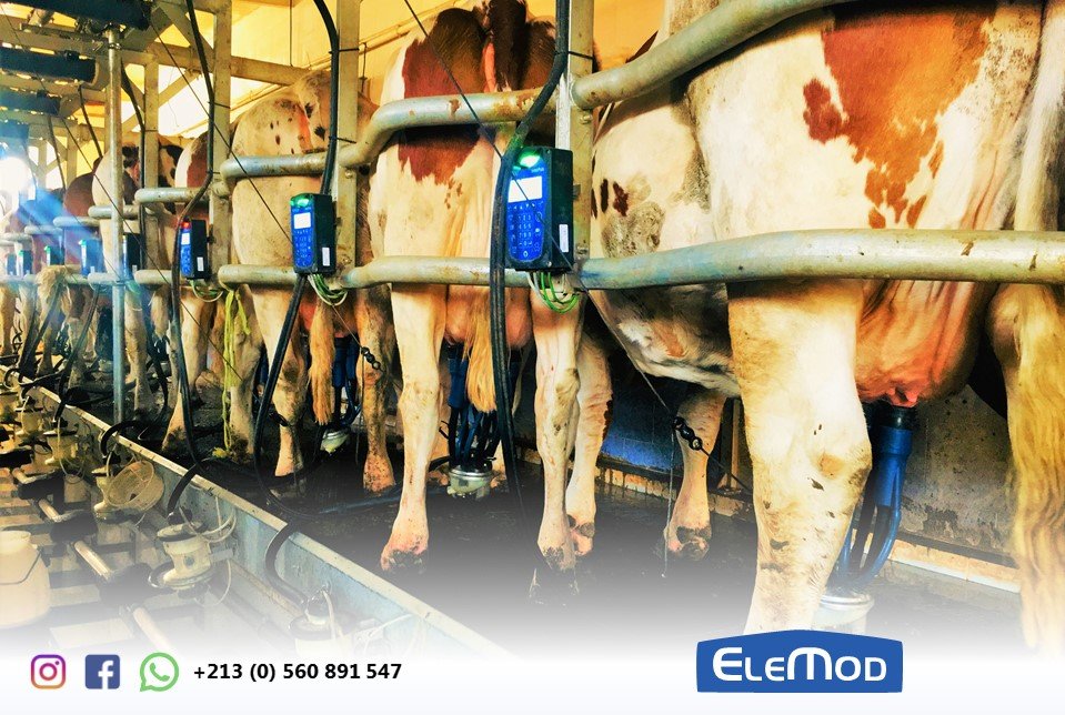 EleMod