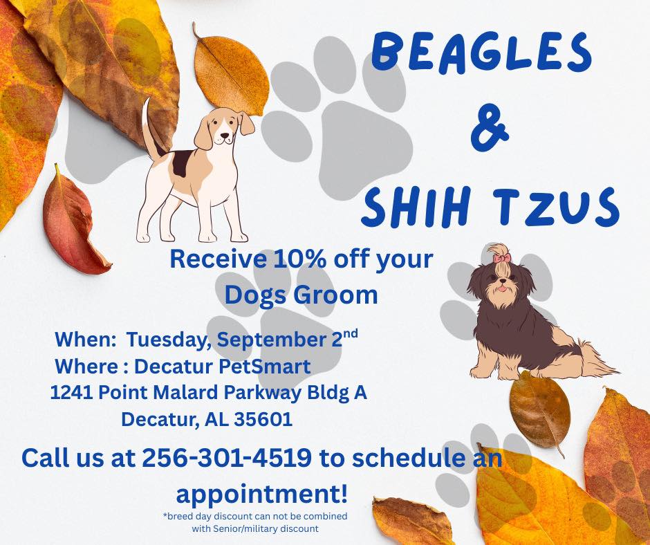 What's Happening in Decatur, Alabama? | If you have a beagle or shih ...
