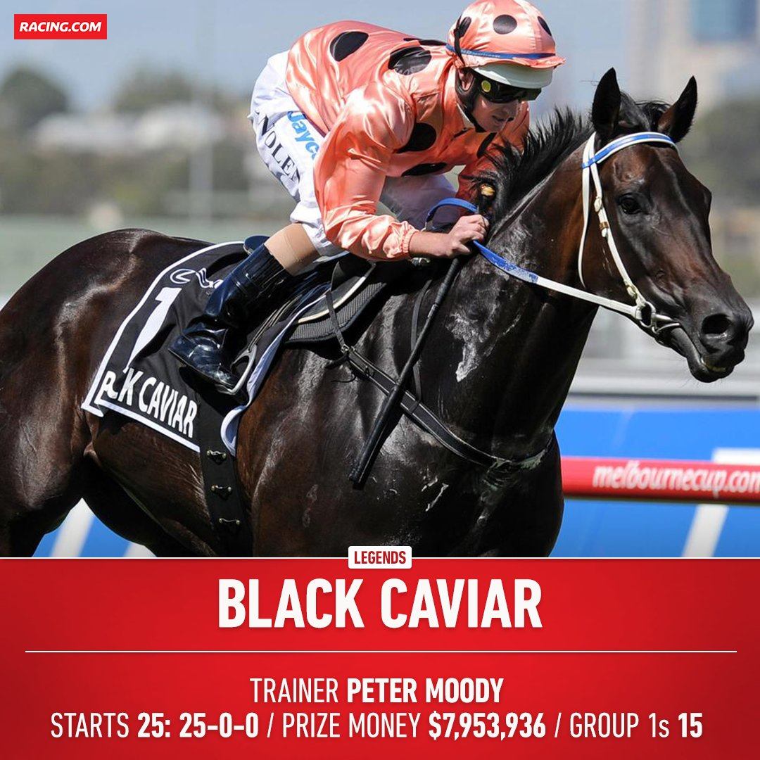 Racing.com - Our Royal Ascot hero, Black Caviar! What a mighty mare 🤩 ...