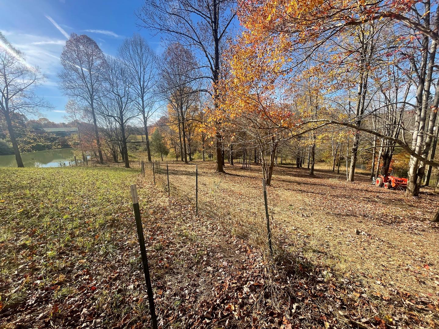 Shady Grove Farm West Virginia - NPIP Certified | Summersville WV