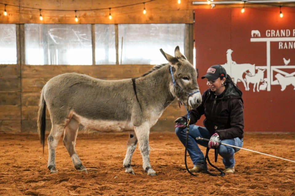 Our first ever clinic….phenomenal,... - Grand River Ranch | Facebook