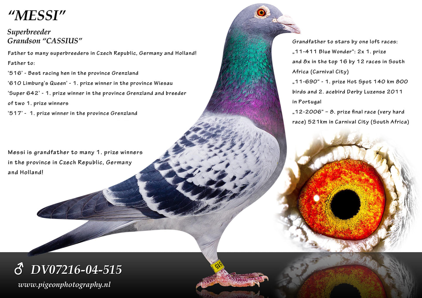 フレディ 🕊️💥𝐍𝐨𝐰 𝐨𝐧𝐥𝐢𝐧𝐞 𝐚𝐭 𝐄𝐏𝐀 𝐰𝐞𝐛𝐬𝐢𝐭𝐞: 𝐙𝐝𝐞𝐧𝐞𝐤