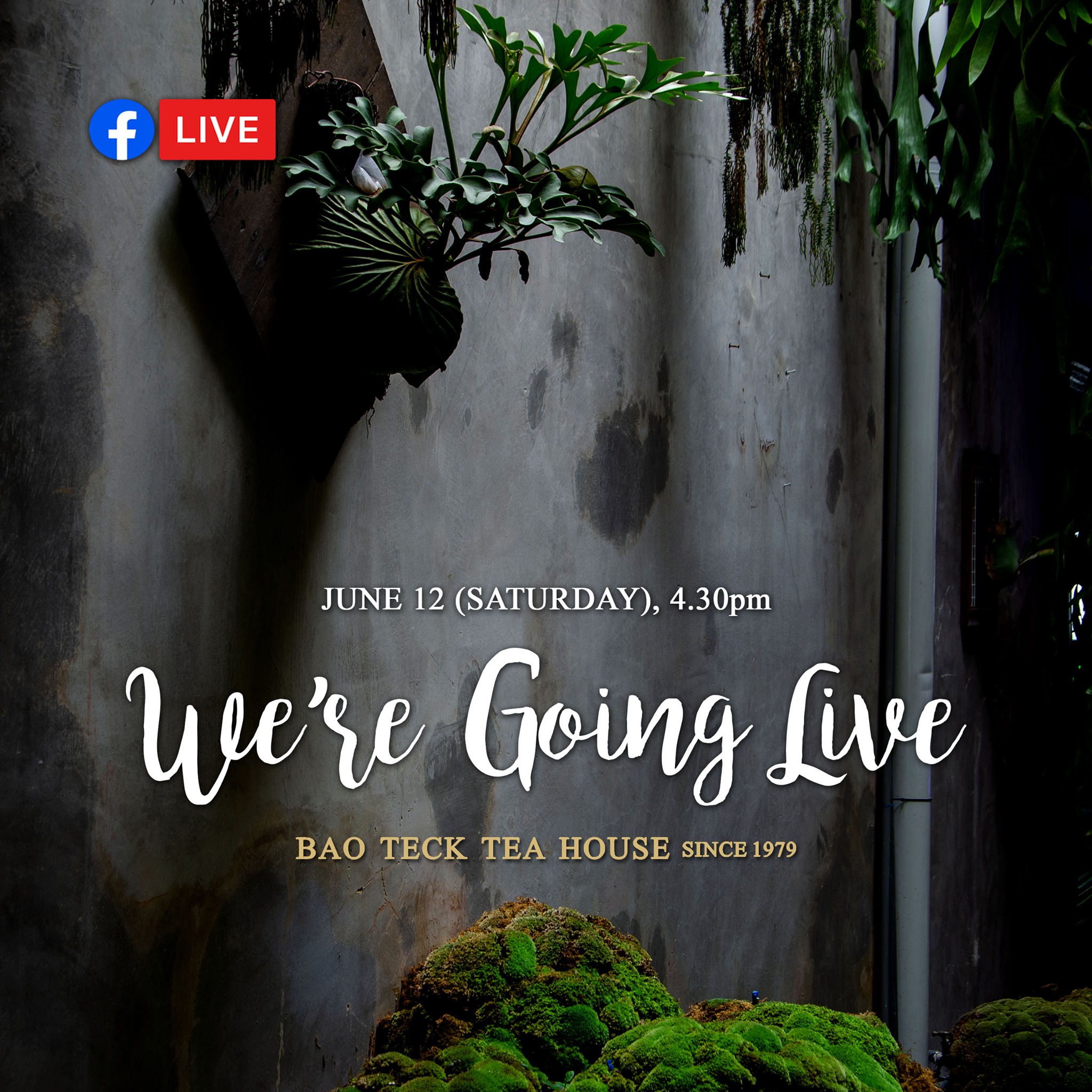 Bao Teck Tea House 包德馆 乔治市 Dim Sum Restaurant Facebook