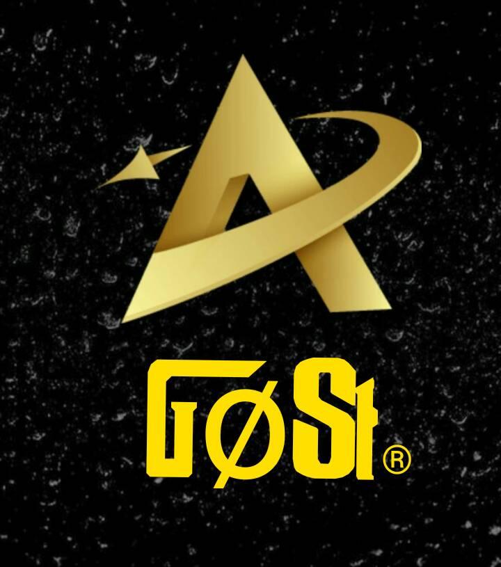 GøSt