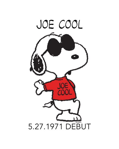 1971年製　JOE COOLS バナー 美術品・アンティーク・コレクション 1971年製 JOE COOLS バナー