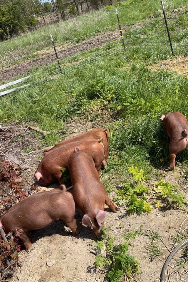 Fulwider Family Farms | Mount Sterling OH