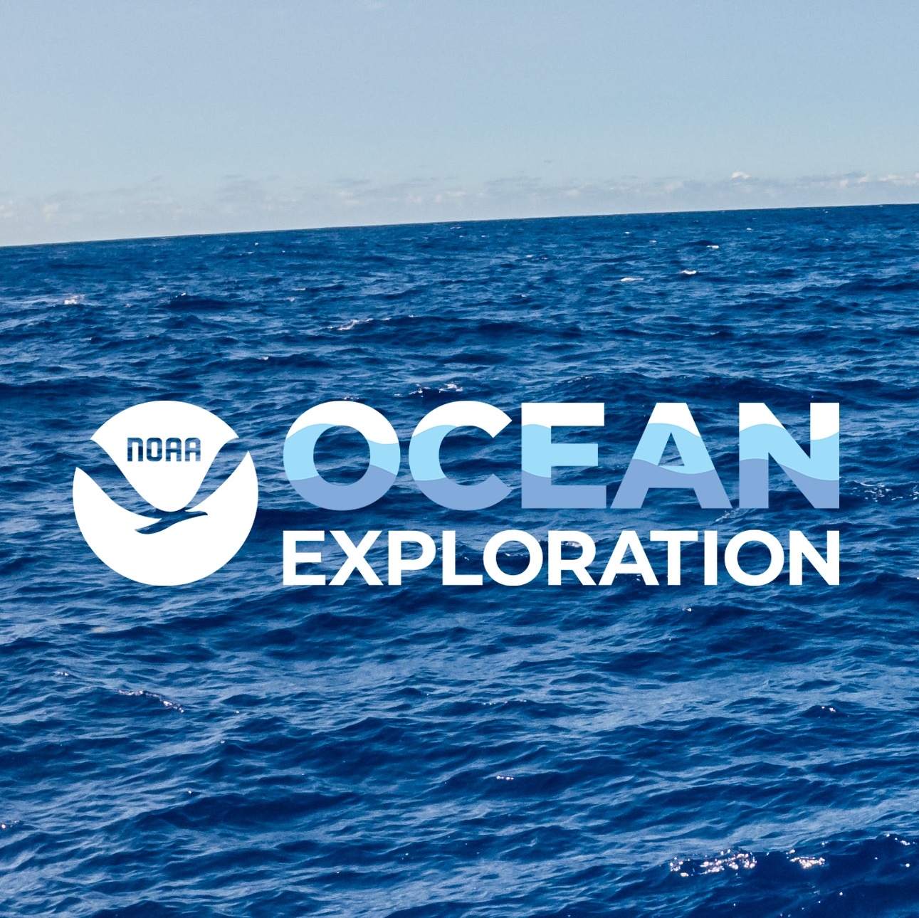 Dumbo octopus or flapjack... - NOAA Ocean Exploration | Facebook