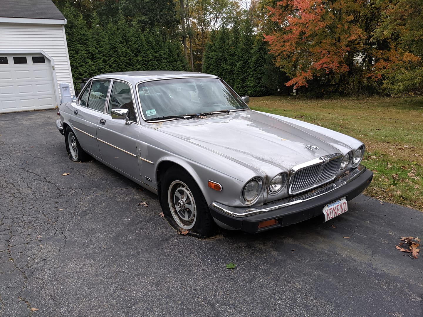 What to do with a free 1985 XJ6 that's been sitting for 5 years?