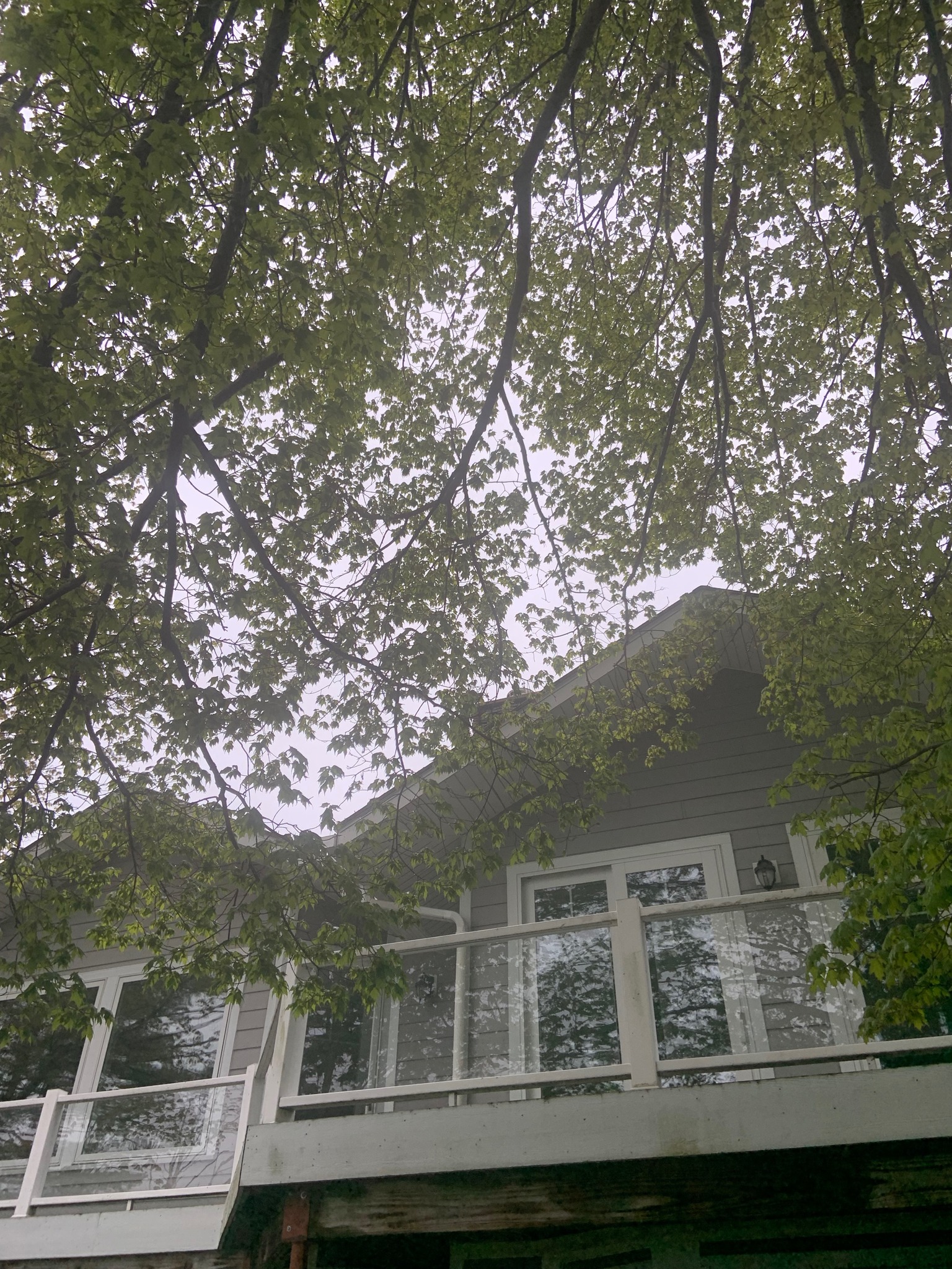 Homestead Tree Service LLC