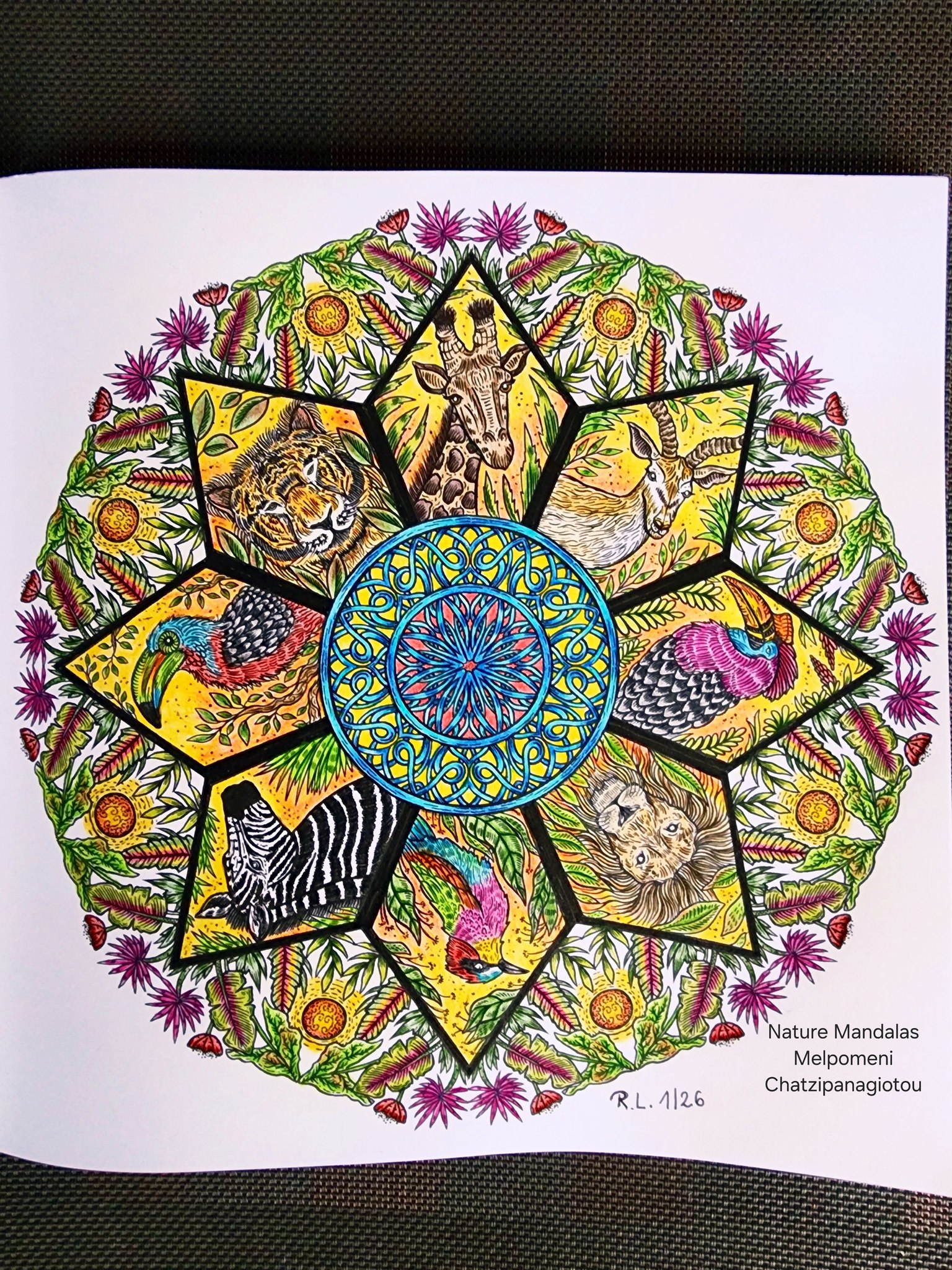 クシンす E سحراه Nature NatureMandalas Mandalas Melpomeni