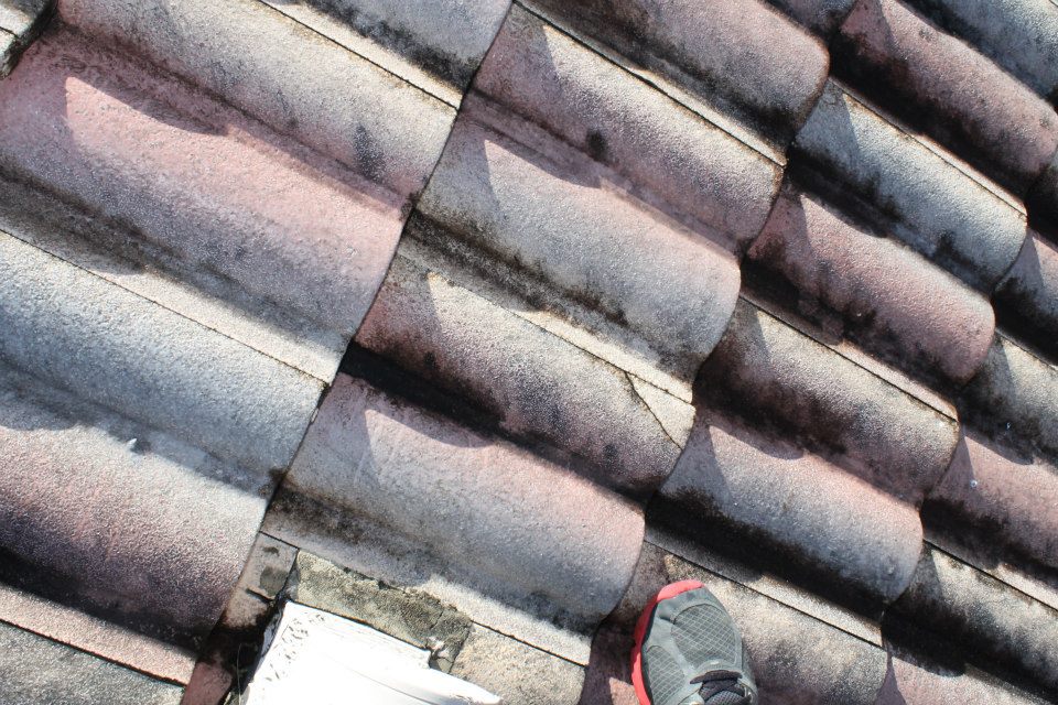 Cleanrite | Kissimmee FL