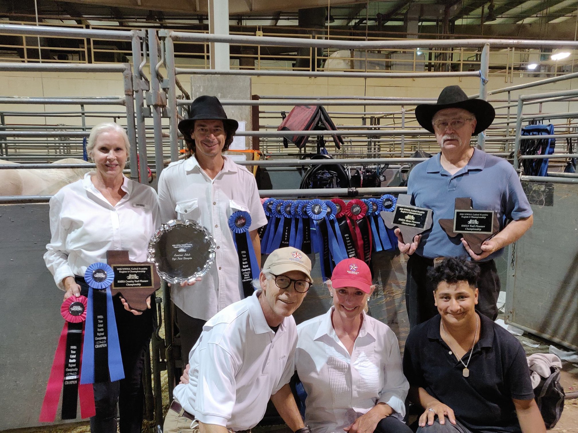 Our horses... - Stargait Farms Rocky Mountain Gaited Horses | Facebook