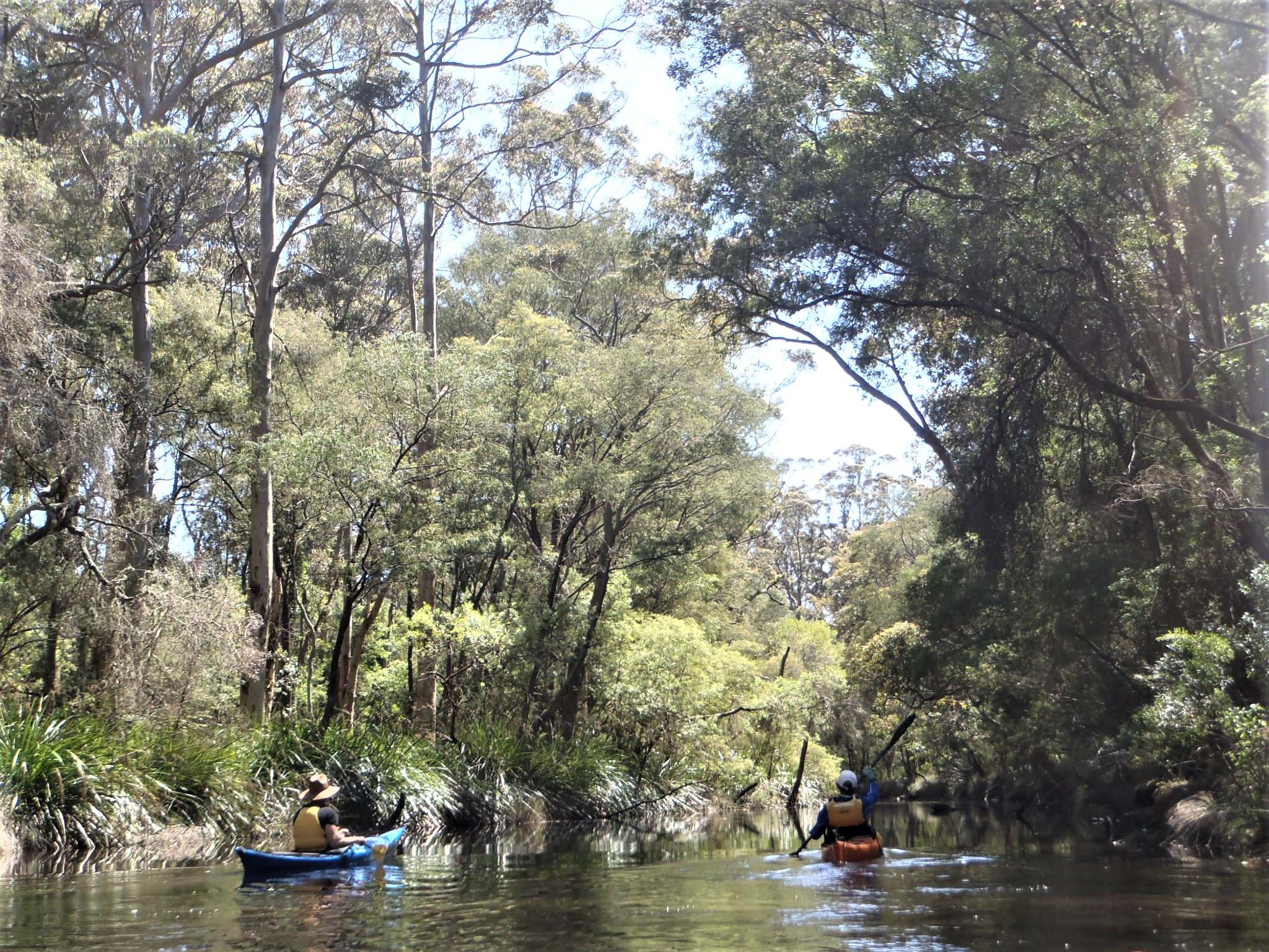 Denmark Riverside Kayak Club | Denmark WA
