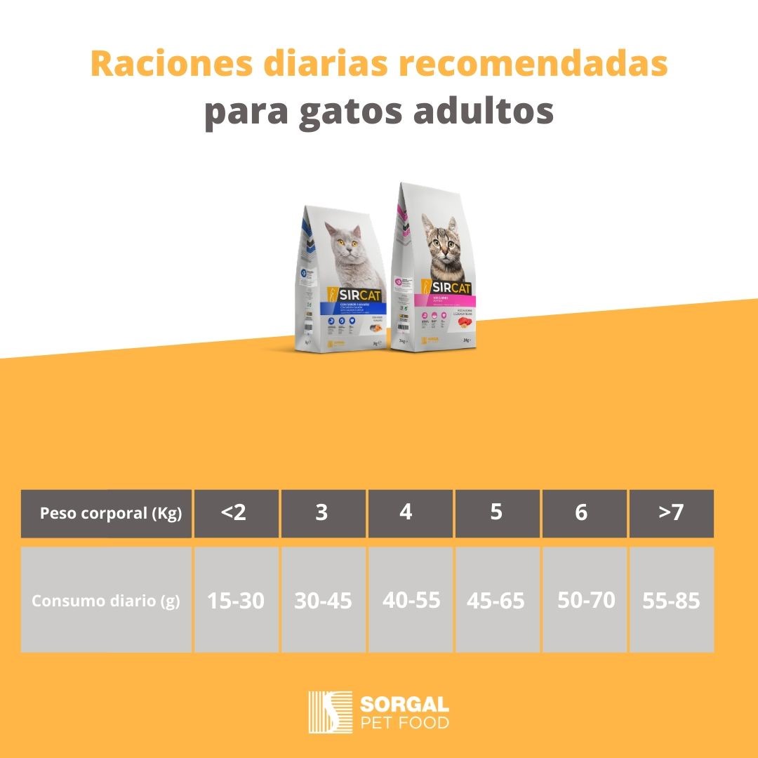 ¿Sabes la cantidad de comida diaria... - Sorgal Pet Food - ES