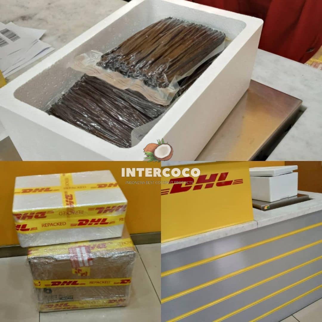Intercoco Indonesia | Medan