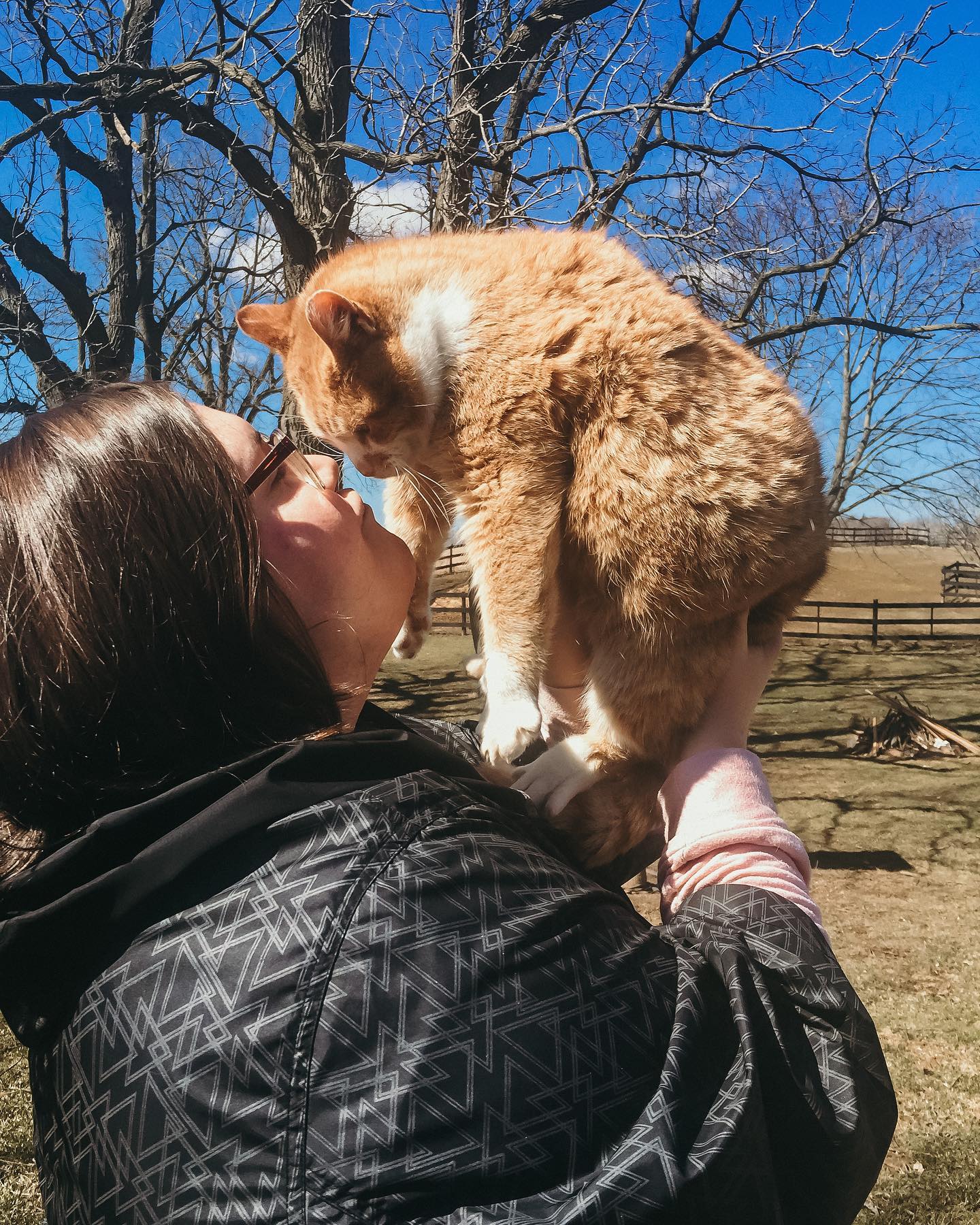 Cat appreciation post! For those of... - Helping Paws Rescue | Facebook